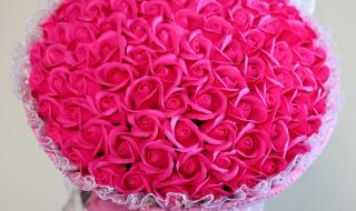 情人节除送玫瑰还可以送什么花